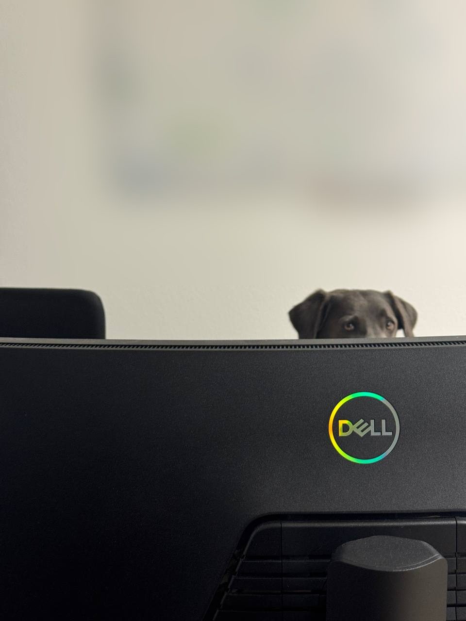 Unsere CTO heißt Zoe